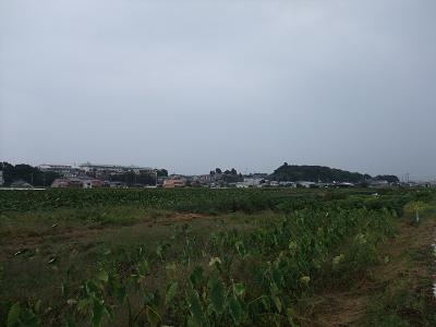 ɐn̓암]ށ@2010N1021Be