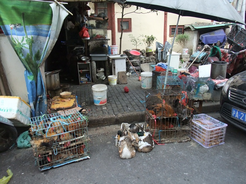 ��C ���[��H