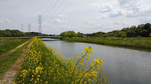 江川排水路