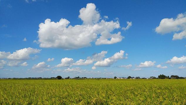 埼玉県吉川市川藤
